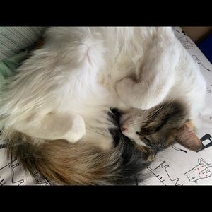 Meet your Posher, Carly